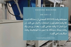 photo_2025-10-13_11-47-36