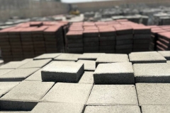 photo_2025-10-13_12-41-58