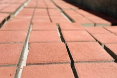 photo_2025-10-13_12-42-07